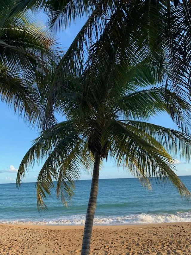 Vila Little House In Paradise Punta Santiago 0*,  Portoriko